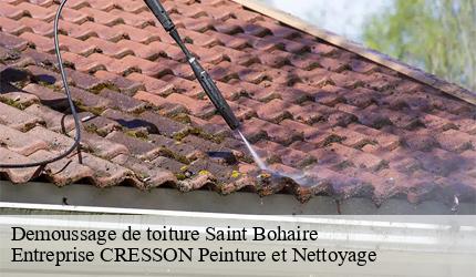 Demoussage de toiture  saint-bohaire-41330 Entreprise CRESSON Peinture et Nettoyage