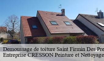 Demoussage de toiture  saint-firmin-des-pres-41100 Entreprise CRESSON Peinture et Nettoyage