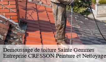 Demoussage de toiture  sainte-gemmes-41290 Entreprise CRESSON Peinture et Nettoyage
