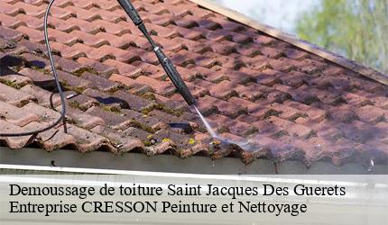 Demoussage de toiture saint-jacques-des-guerets-41800 Entreprise CRESSON Peinture et Nettoyage