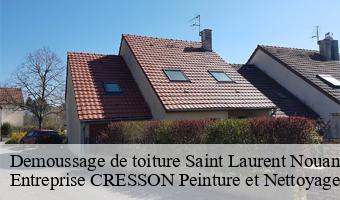 Demoussage de toiture  saint-laurent-nouan-41220 Entreprise CRESSON Peinture et Nettoyage