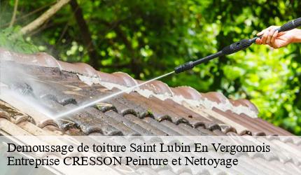 Demoussage de toiture  saint-lubin-en-vergonnois-41190 Entreprise CRESSON Peinture et Nettoyage