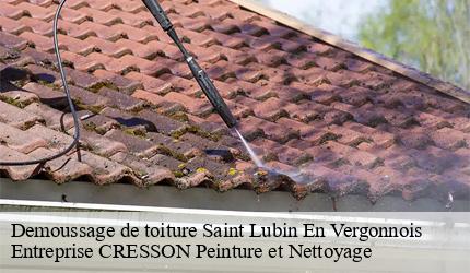 Demoussage de toiture saint-lubin-en-vergonnois-41190 Entreprise CRESSON Peinture et Nettoyage
