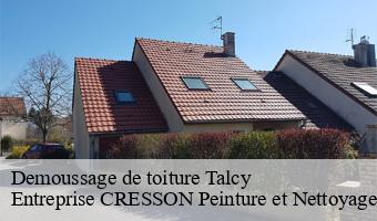 Demoussage de toiture  talcy-41370 Entreprise CRESSON Peinture et Nettoyage