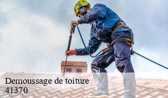 Demoussage de toiture  talcy-41370 Entreprise CRESSON Peinture et Nettoyage