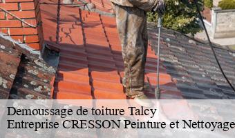 Demoussage de toiture  talcy-41370 Entreprise CRESSON Peinture et Nettoyage