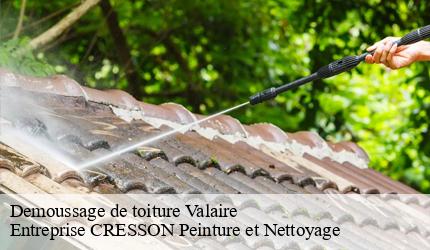 Demoussage de toiture  valaire-41120 Entreprise CRESSON Peinture et Nettoyage