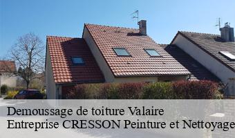 Demoussage de toiture  valaire-41120 Entreprise CRESSON Peinture et Nettoyage