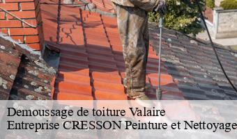 Demoussage de toiture  valaire-41120 Entreprise CRESSON Peinture et Nettoyage