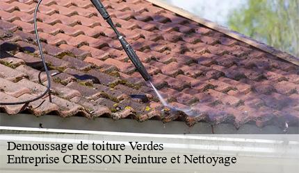 Demoussage de toiture verdes-41240 Entreprise CRESSON Peinture et Nettoyage