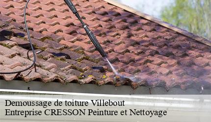 Demoussage de toiture  villebout-41270 Entreprise CRESSON Peinture et Nettoyage