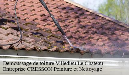 Demoussage de toiture  villedieu-le-chateau-41800 Entreprise CRESSON Peinture et Nettoyage