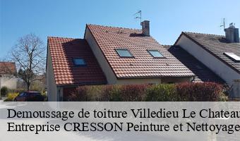 Demoussage de toiture  villedieu-le-chateau-41800 Entreprise CRESSON Peinture et Nettoyage