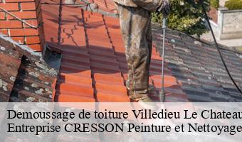 Demoussage de toiture  villedieu-le-chateau-41800 Entreprise CRESSON Peinture et Nettoyage