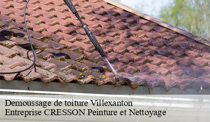 Demoussage de toiture villexanton-41500 Entreprise CRESSON Peinture et Nettoyage