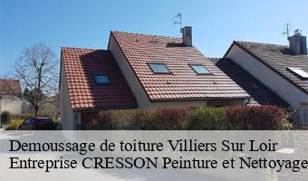 Demoussage de toiture  villiers-sur-loir-41100 Entreprise CRESSON Peinture et Nettoyage