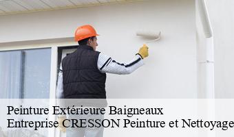 Peinture Extérieure  baigneaux-41290 Entreprise CRESSON Peinture et Nettoyage