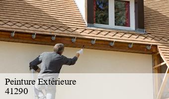 Peinture Extérieure  la-chapelle-encherie-41290 Entreprise CRESSON Peinture et Nettoyage