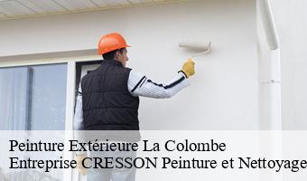 Peinture Extérieure  la-colombe-41160 Entreprise CRESSON Peinture et Nettoyage