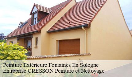 Peinture Extérieure  fontaines-en-sologne-41250 Entreprise CRESSON Peinture et Nettoyage