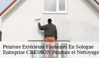 Peinture Extérieure  fontaines-en-sologne-41250 Entreprise CRESSON Peinture et Nettoyage
