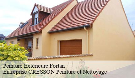 Peinture Extérieure  fortan-41360 Entreprise CRESSON Peinture et Nettoyage