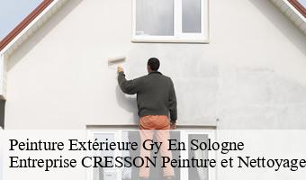 Peinture Extérieure  gy-en-sologne-41230 Entreprise CRESSON Peinture et Nettoyage