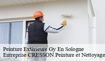 Peinture Extérieure  gy-en-sologne-41230 Entreprise CRESSON Peinture et Nettoyage
