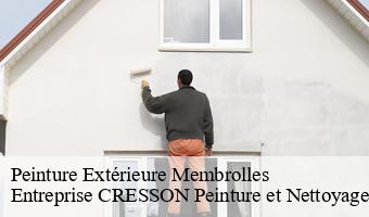 Peinture Extérieure  membrolles-41240 Entreprise CRESSON Peinture et Nettoyage