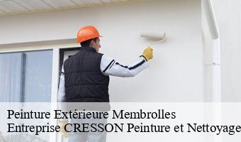 Peinture Extérieure  membrolles-41240 Entreprise CRESSON Peinture et Nettoyage