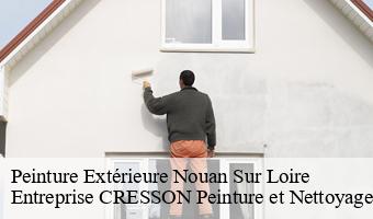 Peinture Extérieure  nouan-sur-loire-41220 Entreprise CRESSON Peinture et Nettoyage