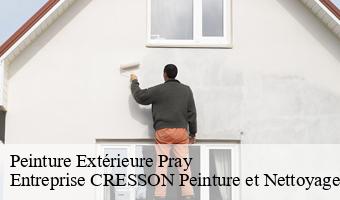 Peinture Extérieure  pray-41190 Entreprise CRESSON Peinture et Nettoyage