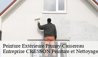 Peinture Extérieure  prunay-cassereau-41310 Entreprise CRESSON Peinture et Nettoyage