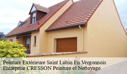 Peinture Extérieure  saint-lubin-en-vergonnois-41190 Entreprise CRESSON Peinture et Nettoyage