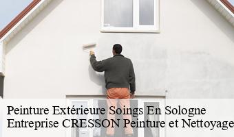 Peinture Extérieure  soings-en-sologne-41230 Entreprise CRESSON Peinture et Nettoyage
