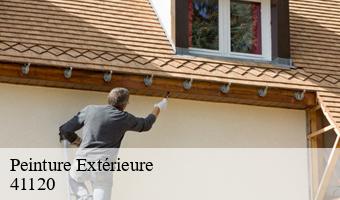 Peinture Extérieure  valaire-41120 Entreprise CRESSON Peinture et Nettoyage