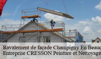 Ravalement de façade  champigny-en-beauce-41330 Entreprise CRESSON Peinture et Nettoyage