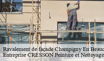 Ravalement de façade  champigny-en-beauce-41330 Entreprise CRESSON Peinture et Nettoyage