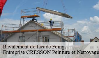 Ravalement de façade  feings-41120 Entreprise CRESSON Peinture et Nettoyage