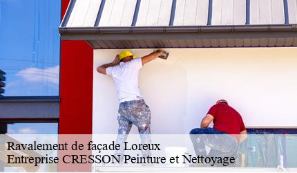Ravalement de façade  loreux-41200 Entreprise CRESSON Peinture et Nettoyage