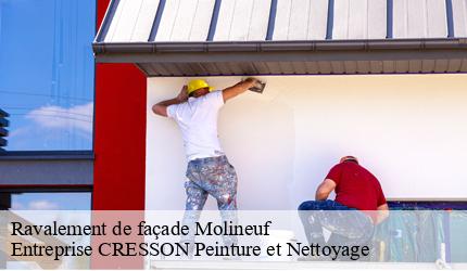 Ravalement de façade  molineuf-41190 Entreprise CRESSON Peinture et Nettoyage